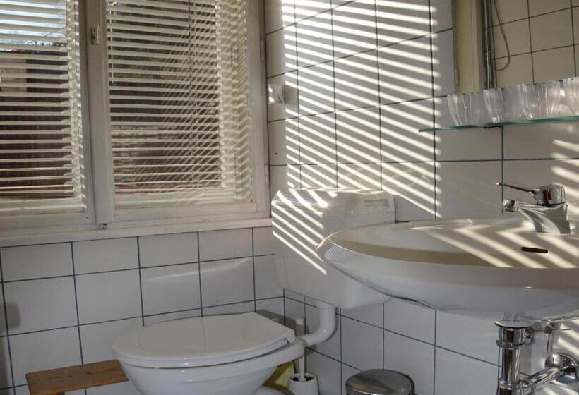 Апартаменты 1 Спальня с Балконом, Pension Sonnenheim Rooms&apartments