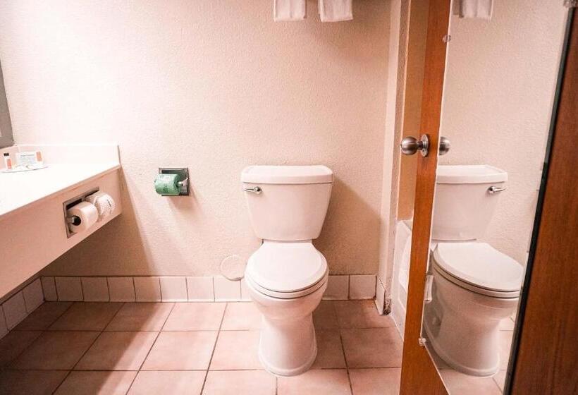 Номер Стандарт Индивидуальный, American Inn & Suites