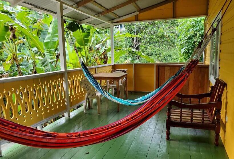 بانگلوی استاندارد, Bastimentos Hill Guest House