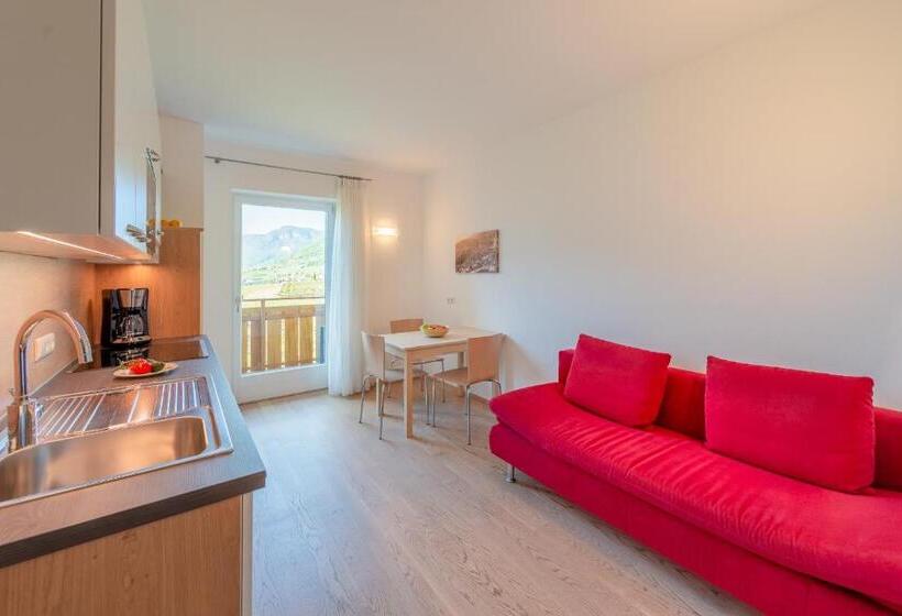 带1个卧室的带阳台的公寓, Sandhof Ferienwohnungen