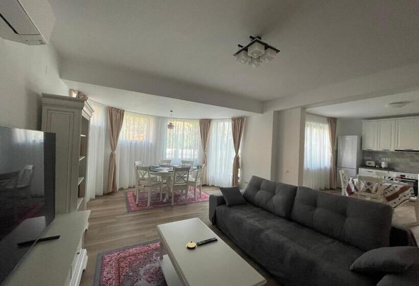 آپارتمان 1 خوابه با تراس, Iarca Inn