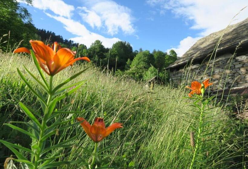 Номер Стандарт Совместная Ванная, B&b Alpe Veglia