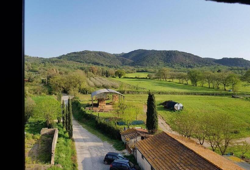 シングルデラックスルーム, Castello Di Casallia
