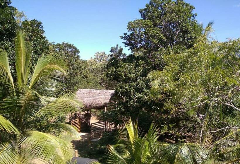 Номер Стандарт Вид на Бассейн, Home In The Island