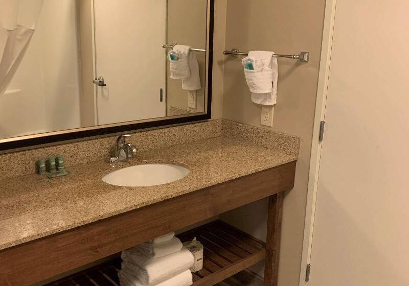 Люкс, Best Western North Bryant Inn