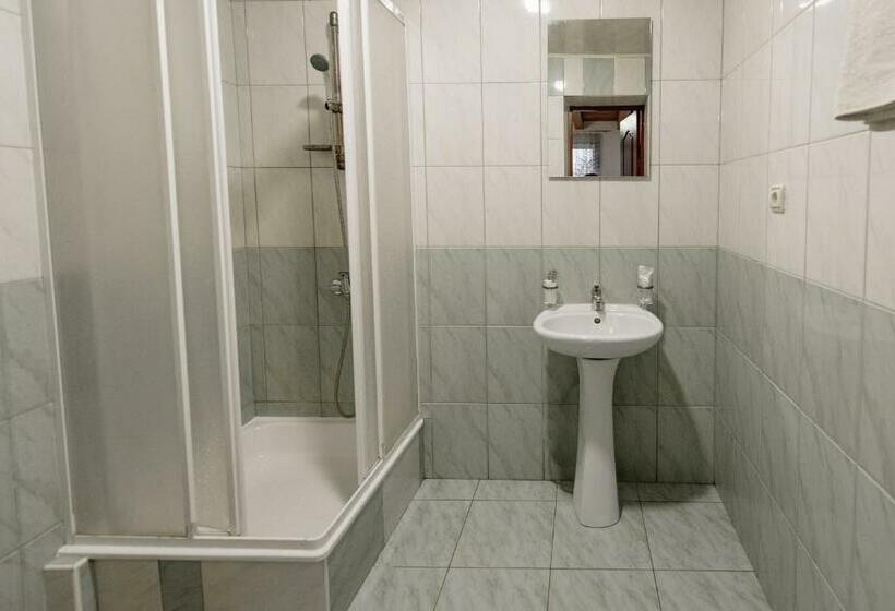 اتاق استاندارد, готель яблуниця