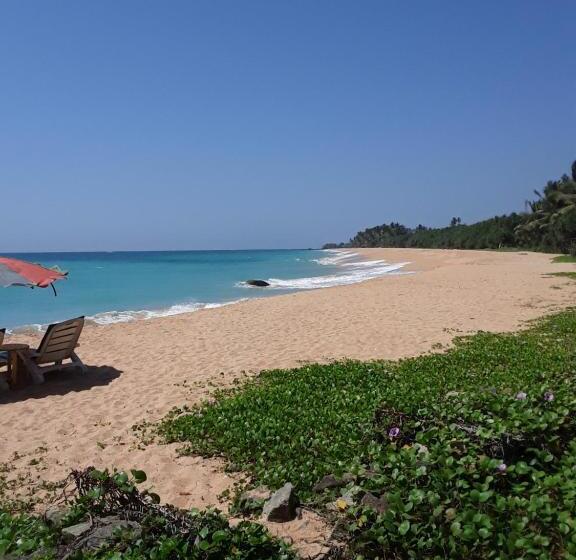 Трехместный Номер Deluxe, Gold Sand Resort