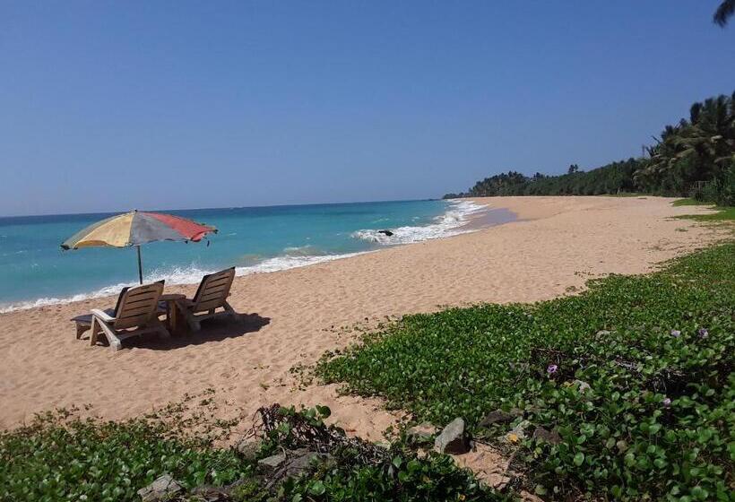 Номер Стандарт, Gold Sand Resort