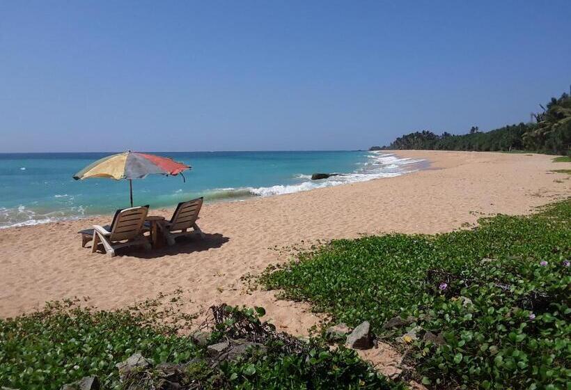 Номер Стандарт, Gold Sand Resort