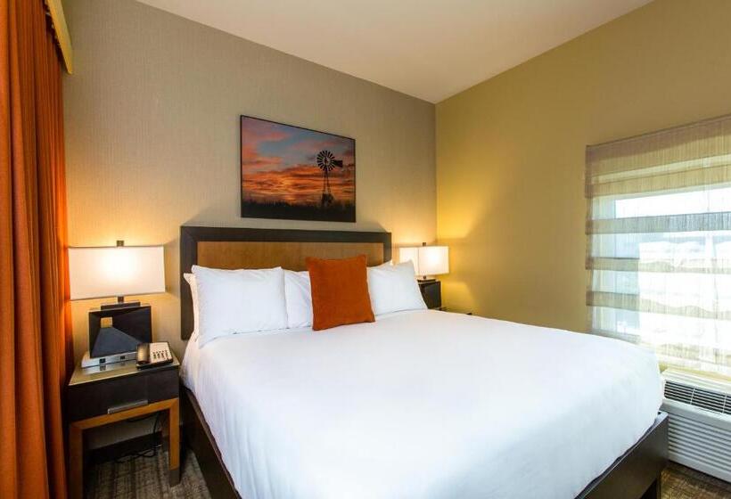 اتاق استاندارد با تخت بزرگ برای معلولان, Cambria Hotel Plano   Frisco