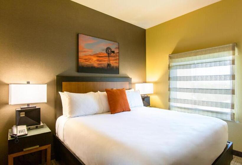 سوئیت با وان آب گرم, Cambria Hotel Plano   Frisco