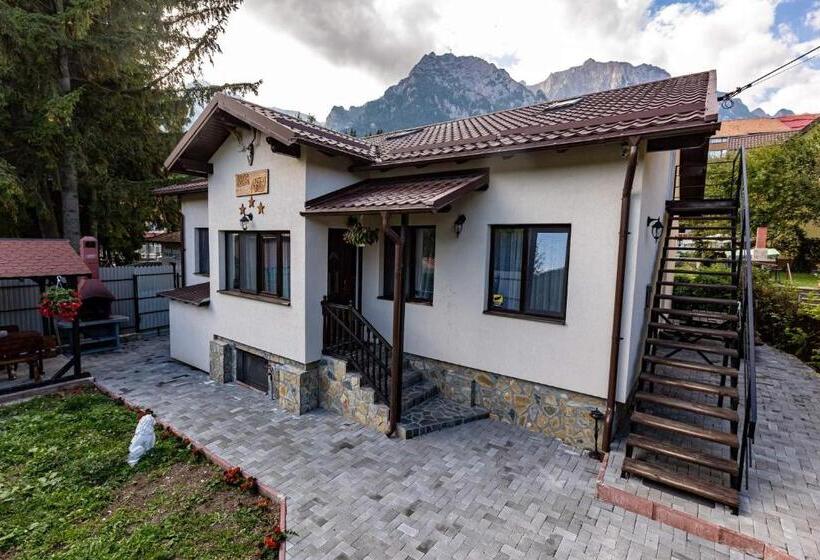 اتاق لوکس, Casa Andy