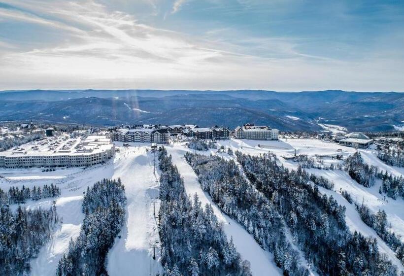 침실 1개 아파트, Stroll To Slopes, Village Area, Ski In Out Mtlodge 210