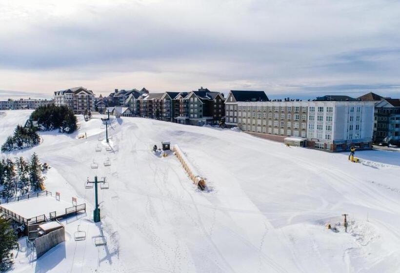 침실 1개 아파트, Stroll To Slopes, Village Area, Ski In Out Mtlodge 210