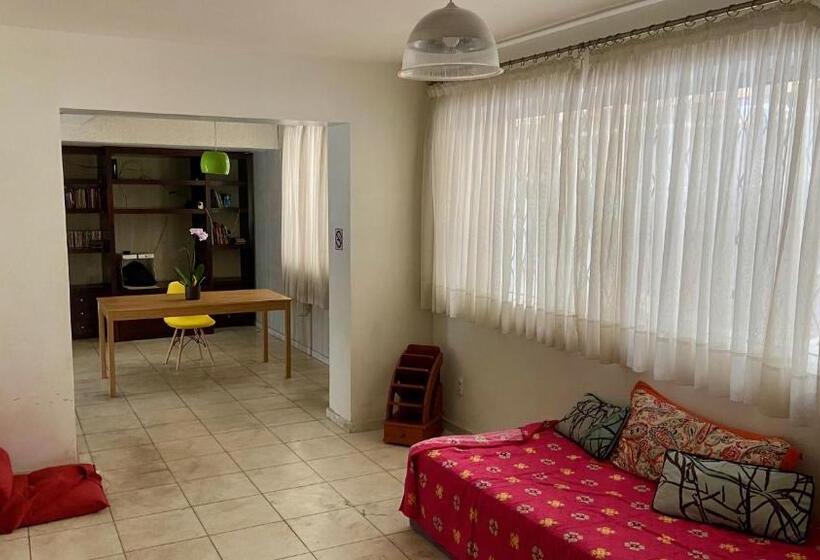 اتاق اکونومی یک تخته, Vila Santê