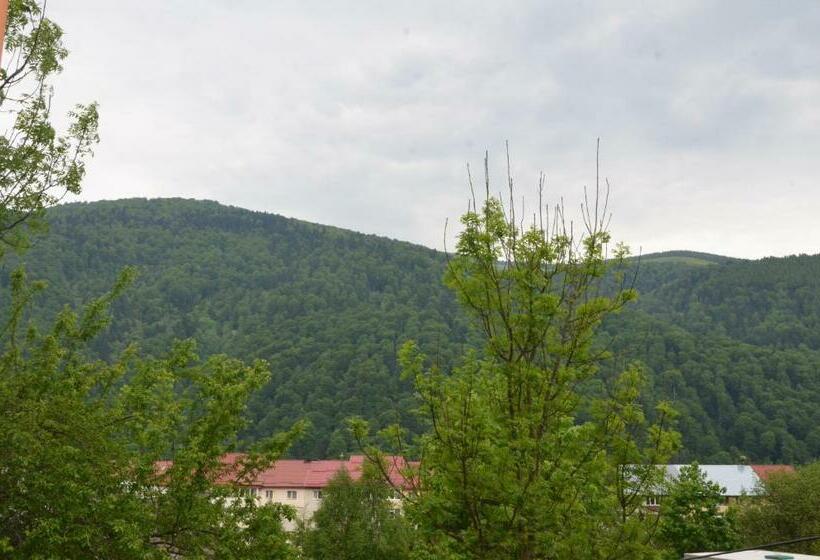 اتاق استاندارد با چشم‌انداز کوهستان, Casa Tibi   Sinaia
