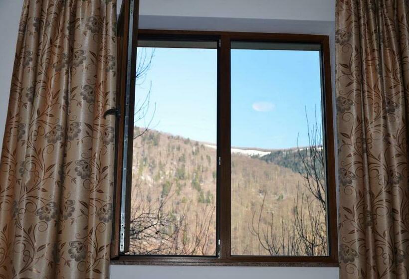 اتاق استاندارد با چشم‌انداز کوهستان, Casa Tibi   Sinaia