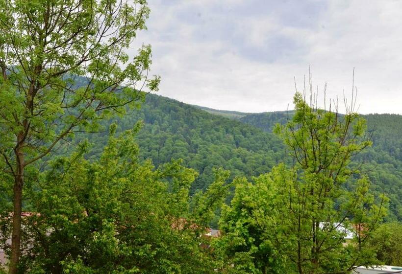 اتاق استاندارد با چشم‌انداز کوهستان, Casa Tibi   Sinaia