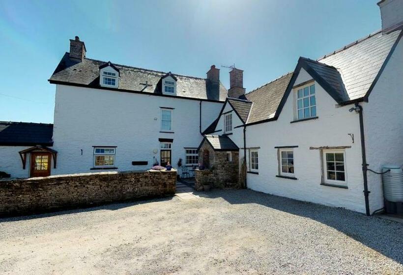Номер Стандарт, Ty Newydd B&b