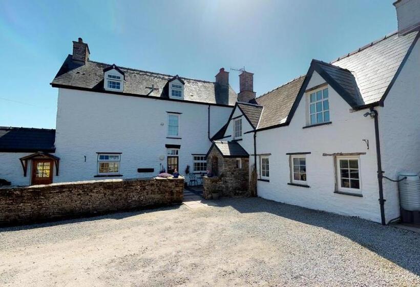 Стандартный Номер Кровать Кинг, Ty Newydd B&b