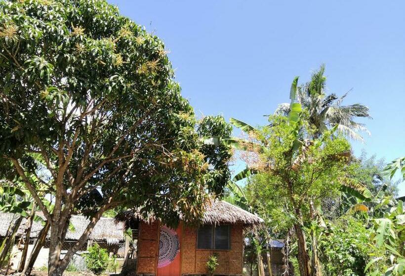 اتاق استاندارد, Walkerz Inn