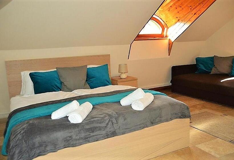 استودیوی استاندارد, Downtown Apartments With Shared Kitchen