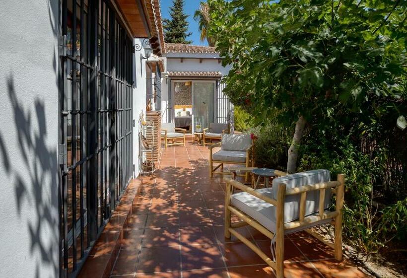 جناح, Bed And Breakfast Mirador Infinito
