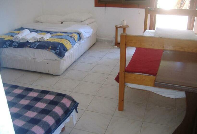 豪华房间, Theresa Hotel At Karpaz Peninsula