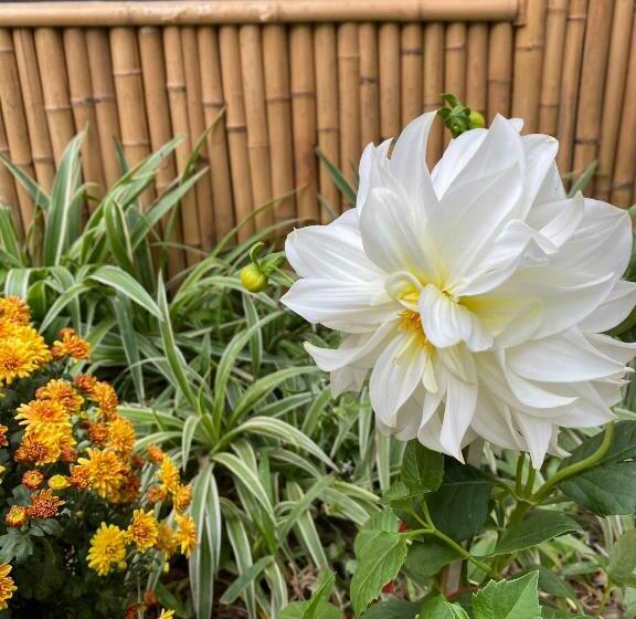 ویلای استاندارد با چشم‌انداز باغ, Trang An Moon Garden Homestay