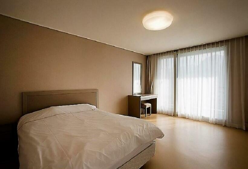 اتاق لوکس, Seorak I Park Condo