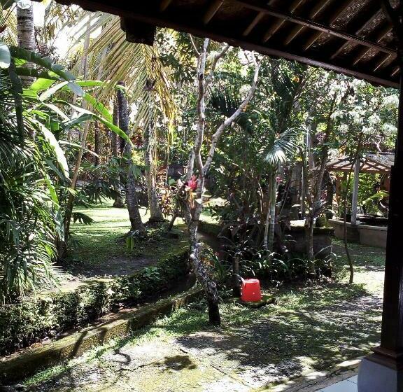 Номер Стандарт, Madra Homestay