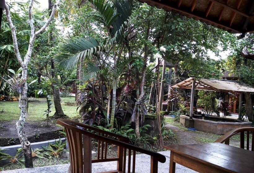 Номер Стандарт, Madra Homestay