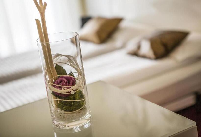 Полулюкс Вид на Озеро, Wellness Hotel Casa Barca