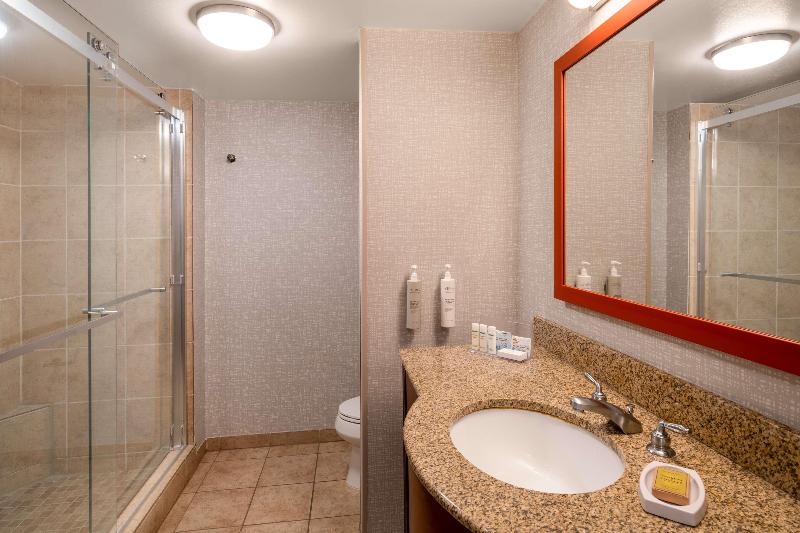 스탠다드 룸 킹사이즈 침대, Hampton Inn & Suites Salida