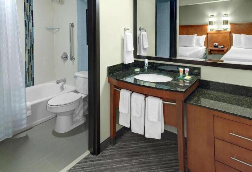 장애인을 위한 킹사이즈 침대 스탠다드 룸, Hyatt Place Nashville Brentwood