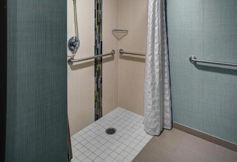 장애인을 위한 킹사이즈 침대 스탠다드 룸, Hyatt Place Nashville Brentwood