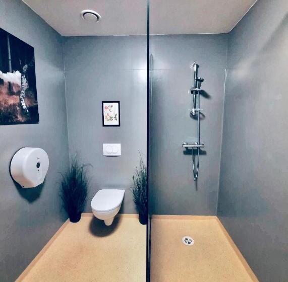 מיטה בחדר משותף, Bus Hostel Reykjavik   Reykjavik Terminal