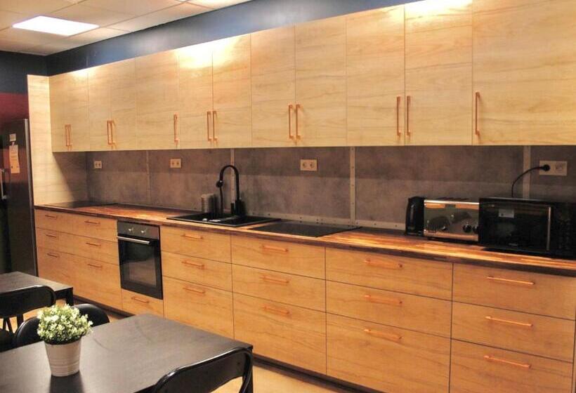 חדר סטנדרט חדר אמבטיה משותף, Bus Hostel Reykjavik   Reykjavik Terminal