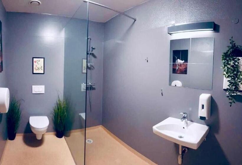 חדר סטנדרט חדר אמבטיה משותף, Bus Hostel Reykjavik   Reykjavik Terminal