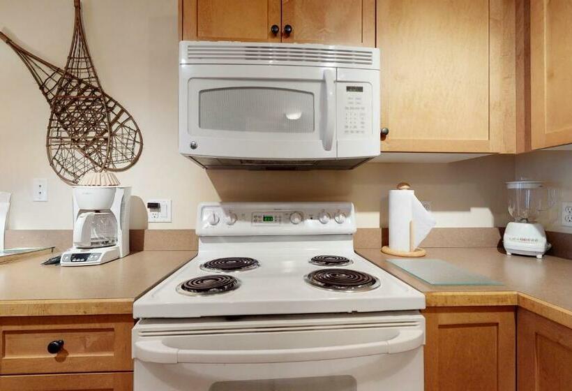 Апартаменты 1 Спальня, Copper Springs Lodge 430