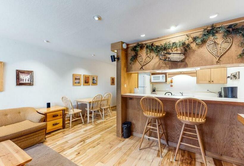 带1个卧室的公寓, Cozy Condo In Ski Trails