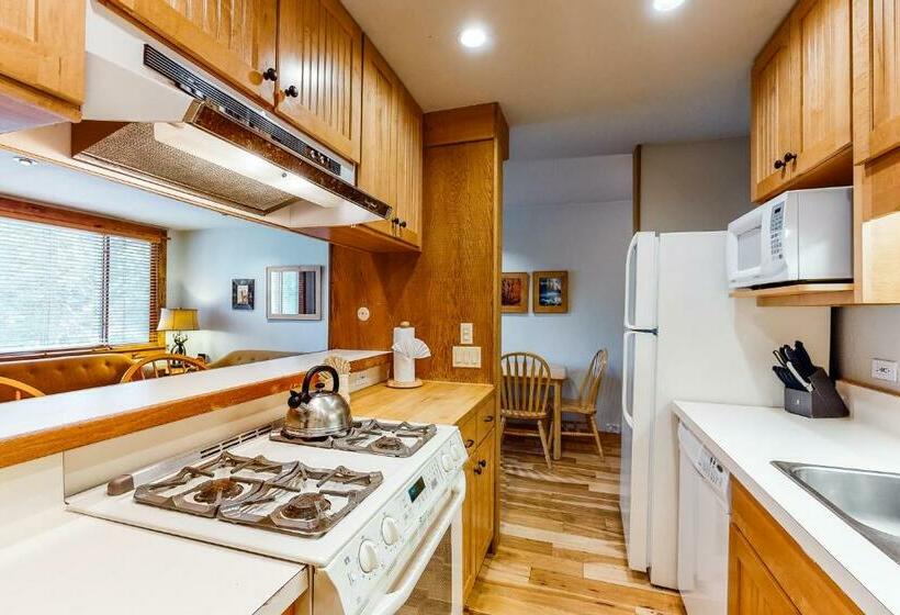 带1个卧室的公寓, Cozy Condo In Ski Trails