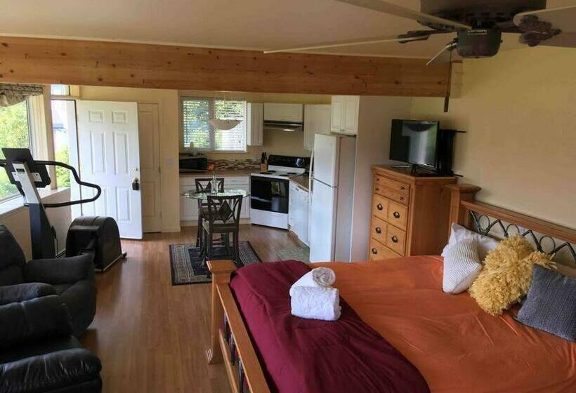 استودیوی استاندارد با چشم‌انداز دریا, Kelli Creek Cottage   Reduced Price On Tours
