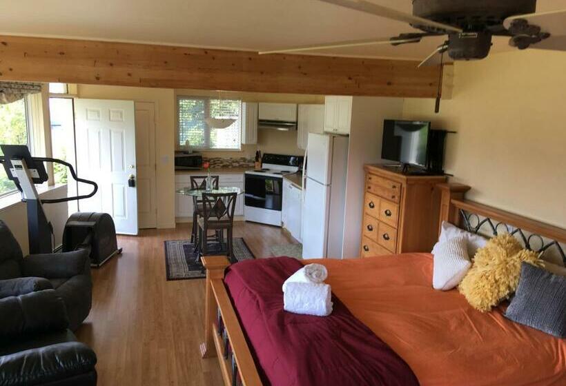 استودیوی استاندارد با چشم‌انداز دریا, Kelli Creek Cottage   Reduced Price On Tours