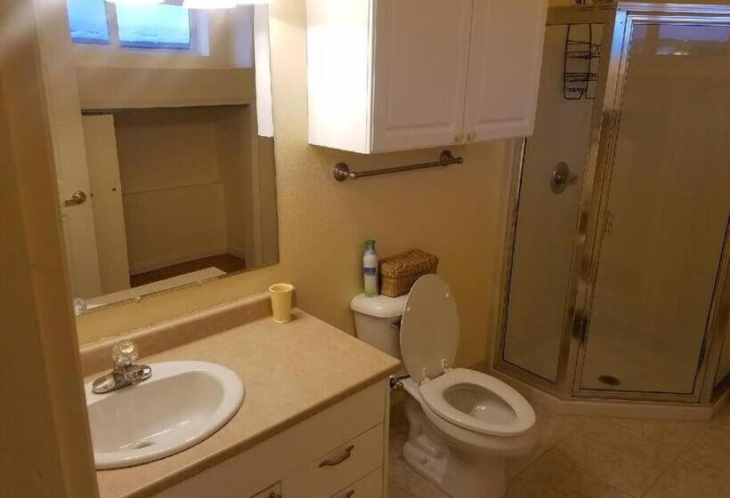 استودیوی استاندارد با چشم‌انداز دریا, Kelli Creek Cottage   Reduced Price On Tours