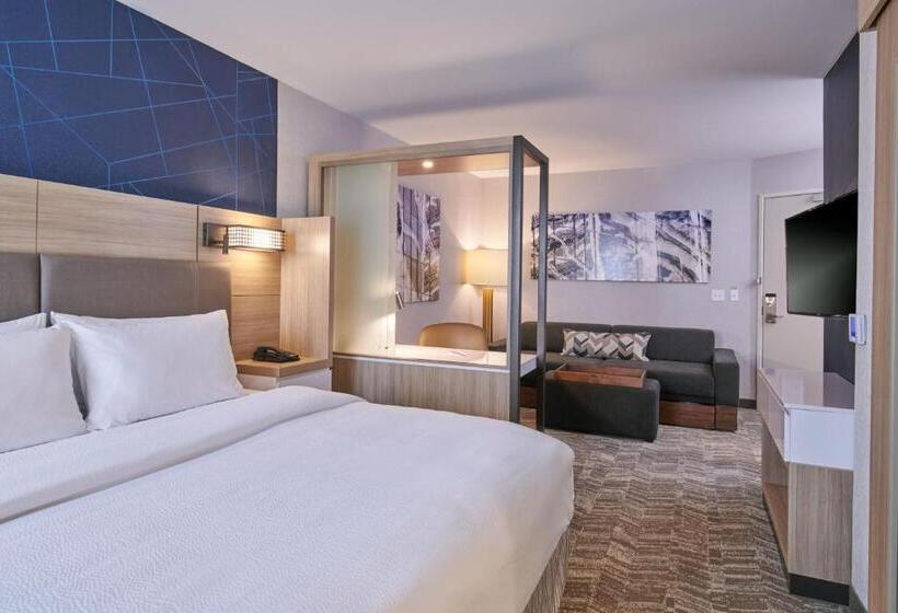 Студио Стандарт Кровать Кинг, Springhill Suites By Marriott Detroit Dearborn