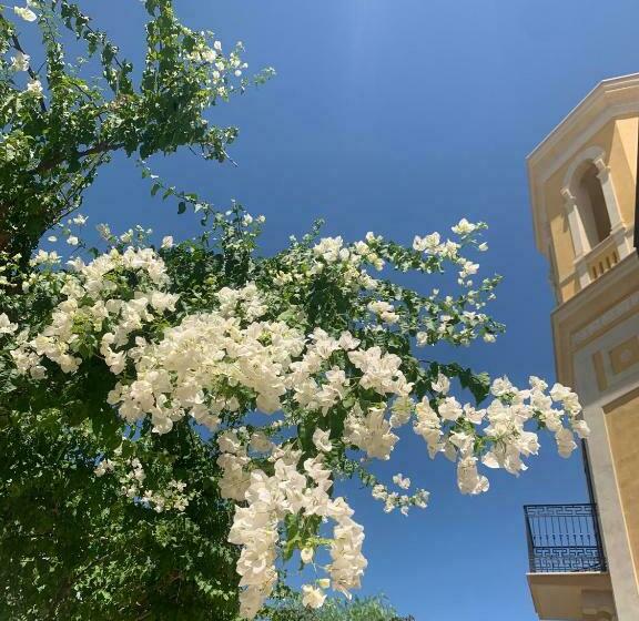 آپارتمان 1 خوابه با چشمانداز باغ, Villa Giada