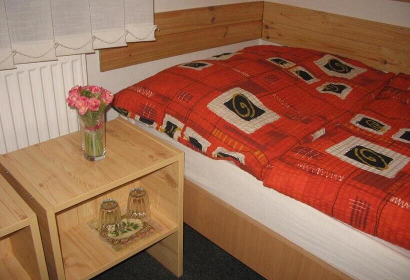 스탠다드 트리픔 룸 공동욕실, Bed & Breakfast Penzion Brno