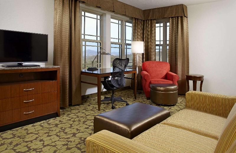 Люкс Кровать Кинг, Hilton Garden Inn Roanoke