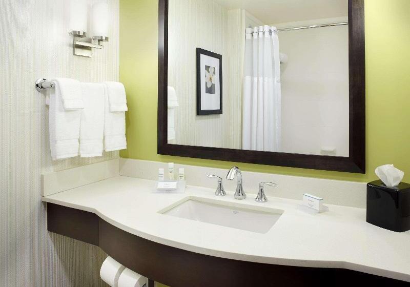 Номер Премиум, Hilton Garden Inn Roanoke